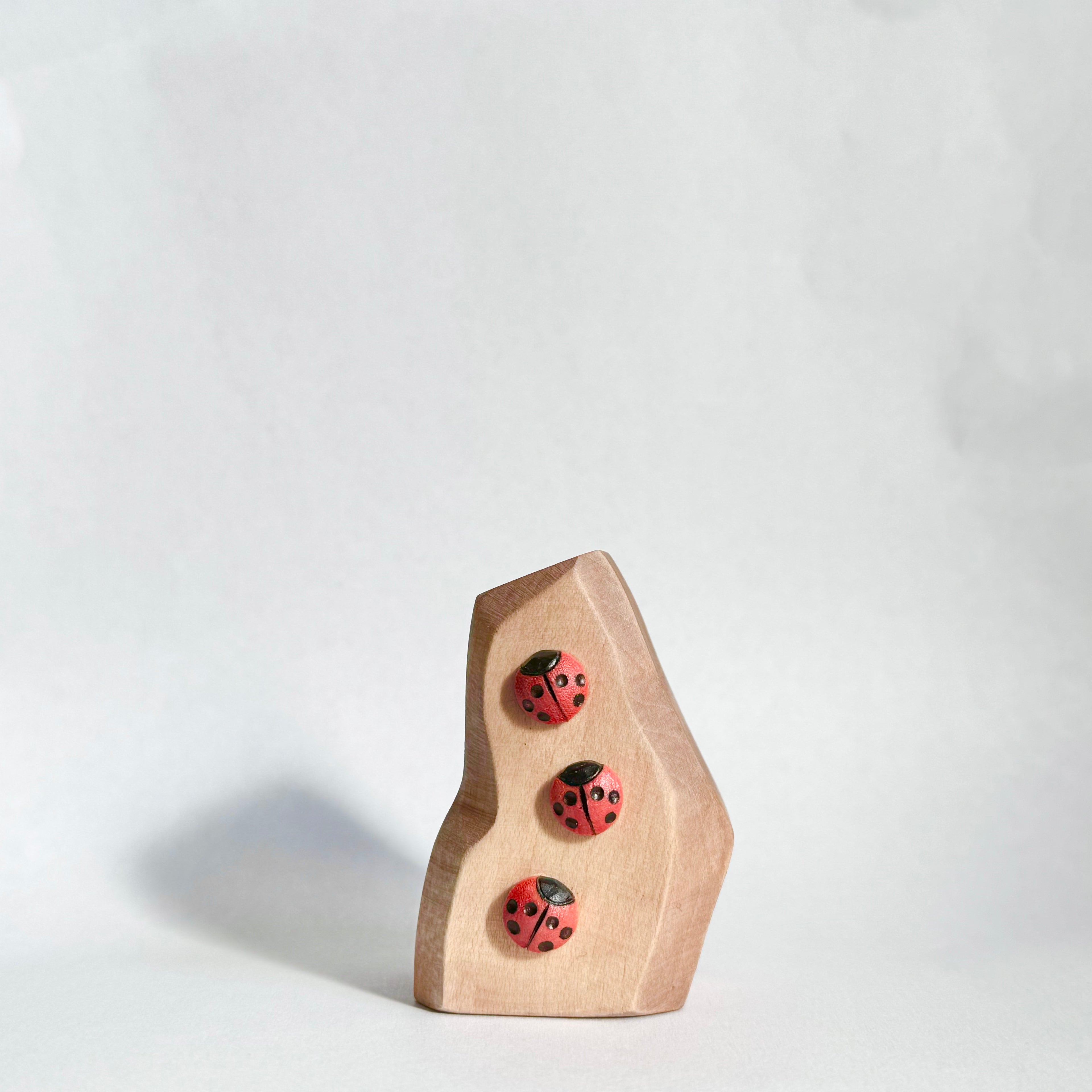 Ladybug Rock